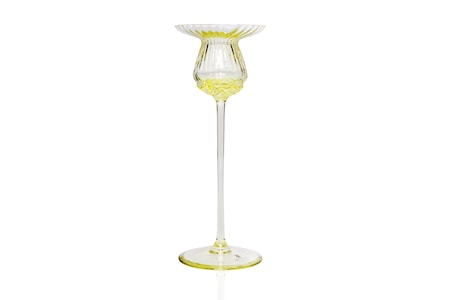 Tulipán Kynttilänjalka 20 cm Sitruuna